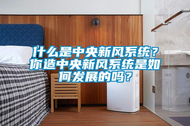 什么是中央新風系統？你造中央新風系統是如何發(fā)展的嗎？
