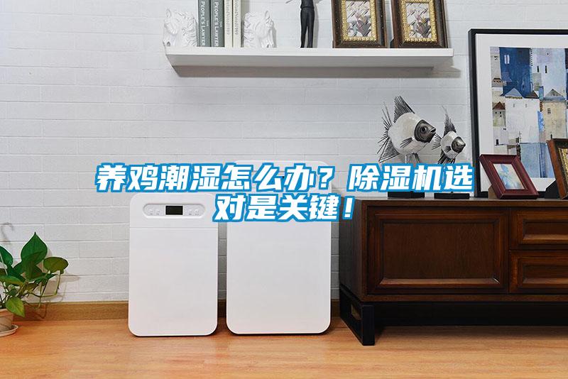 養(yǎng)雞潮濕怎么辦？除濕機選對是關鍵！