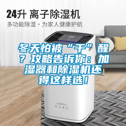 冬天怕被“干”醒？攻略告訴你：加濕器和除濕機(jī)還得這樣選！