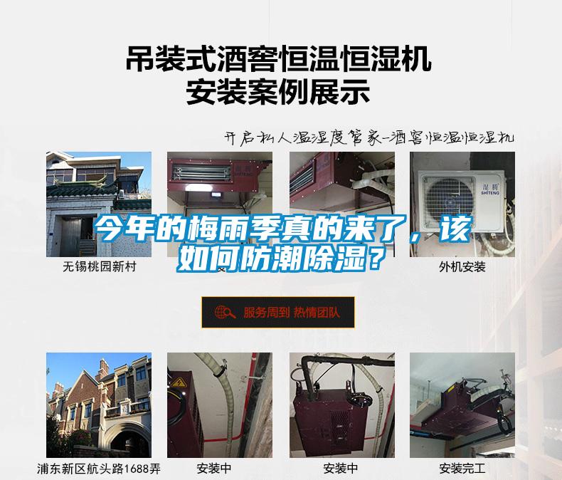今年的梅雨季真的來(lái)了，該如何防潮除濕？