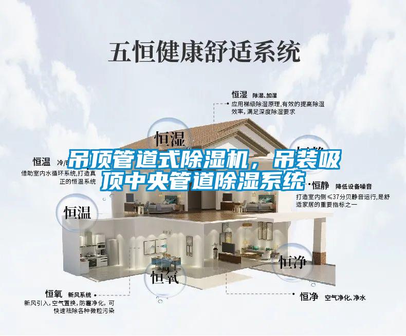 吊頂管道式除濕機(jī)，吊裝吸頂中央管道除濕系統(tǒng)