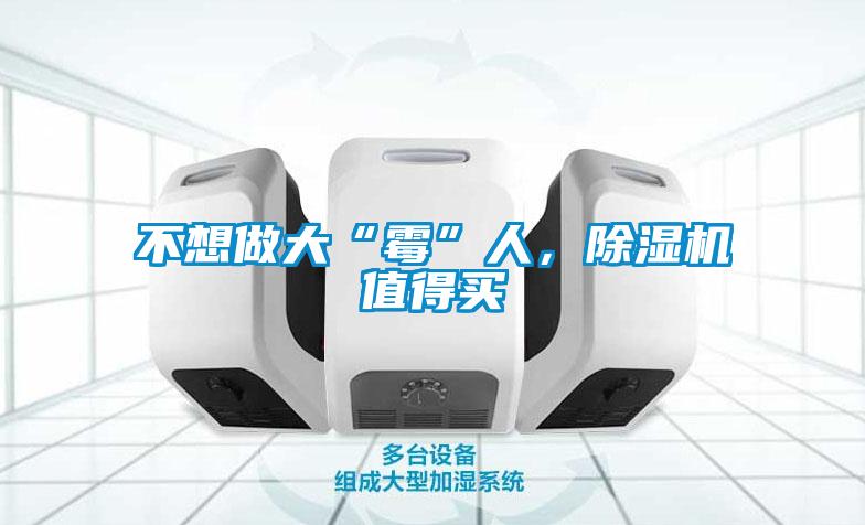 不想做大“霉”人，除濕機值得買
