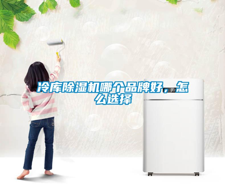 冷庫(kù)除濕機(jī)哪個(gè)品牌好，怎么選擇