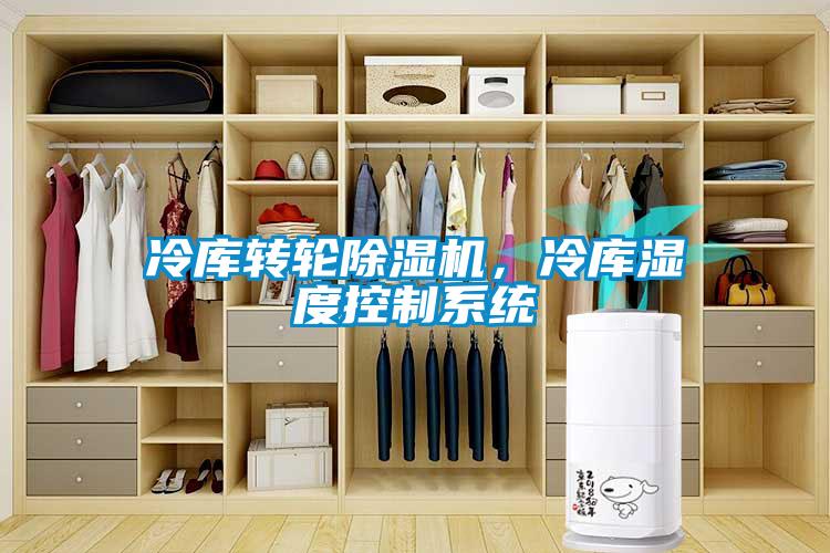 冷庫轉(zhuǎn)輪除濕機(jī)，冷庫濕度控制系統(tǒng)