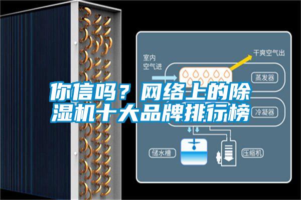 你信嗎？網(wǎng)絡(luò)上的除濕機十大品牌排行榜