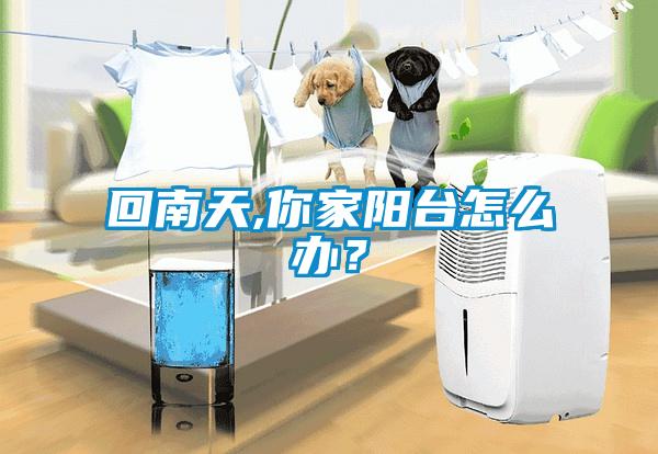 回南天,你家陽(yáng)臺(tái)怎么辦？