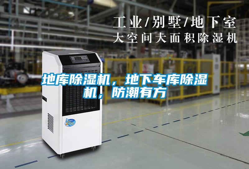 地庫除濕機，地下車庫除濕機，防潮有方