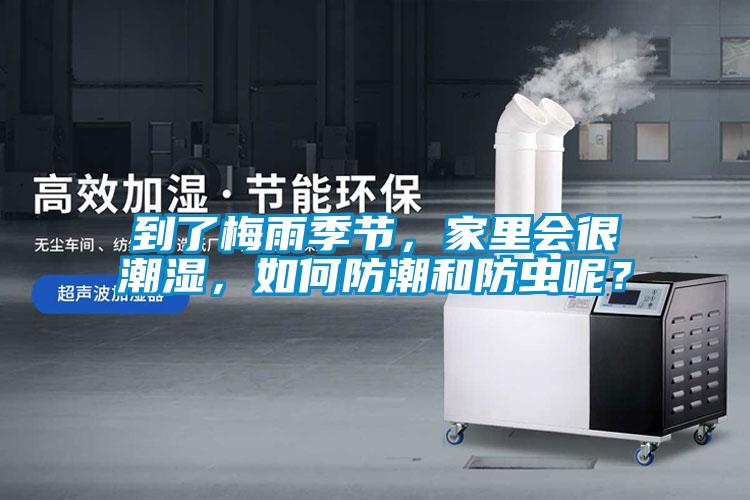 到了梅雨季節(jié)，家里會很潮濕，如何防潮和防蟲呢？