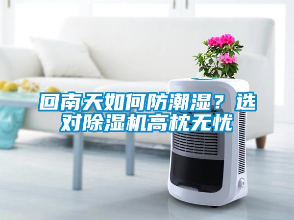 回南天如何防潮濕？選對除濕機高枕無憂