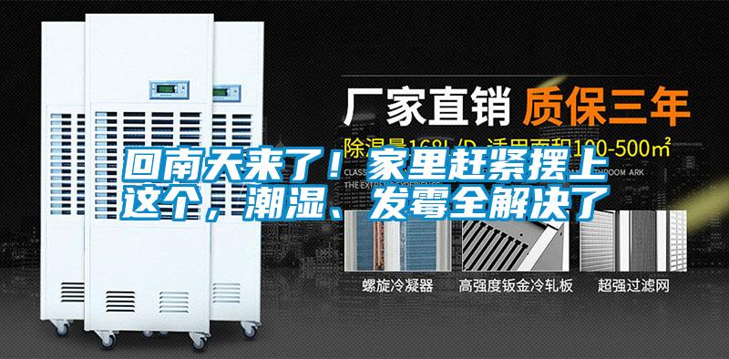 回南天來了！家里趕緊擺上這個，潮濕、發(fā)霉全解決了