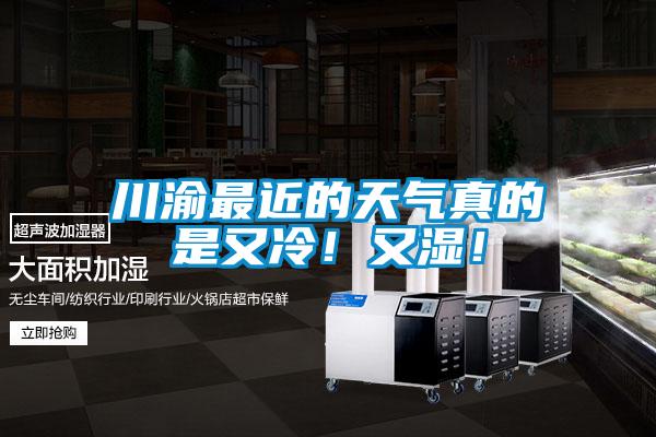 川渝最近的天氣真的是又冷！又濕！