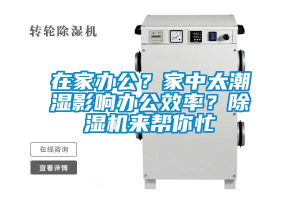 在家辦公？家中太潮濕影響辦公效率？除濕機來幫你忙