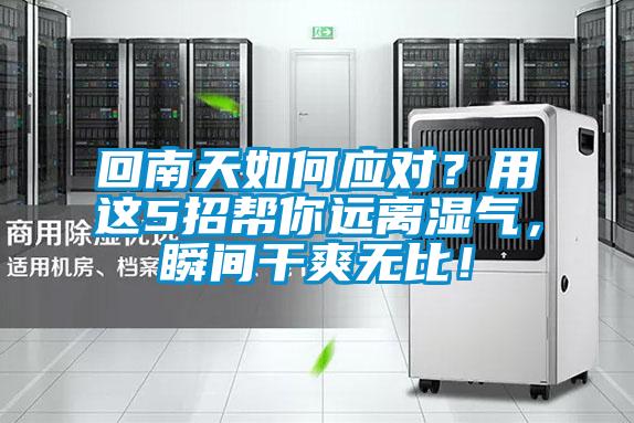 回南天如何應(yīng)對(duì)？用這5招幫你遠(yuǎn)離濕氣，瞬間干爽無比！
