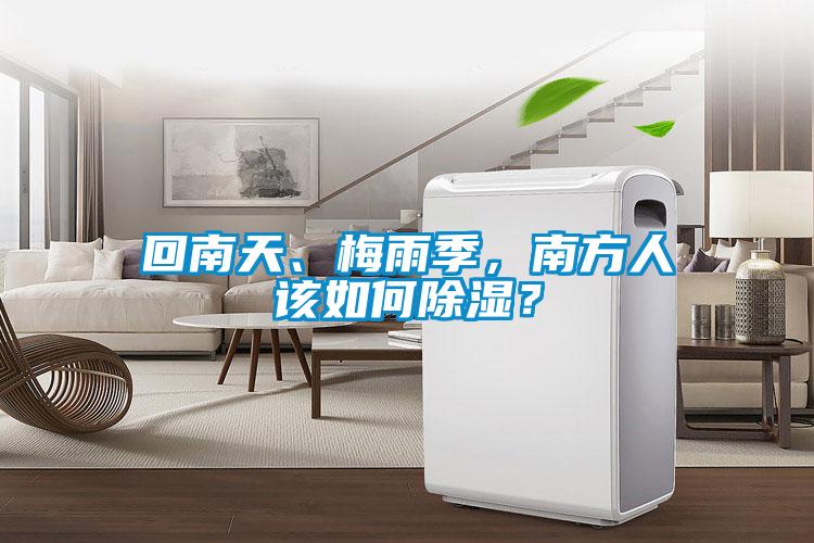 回南天、梅雨季，南方人該如何除濕？