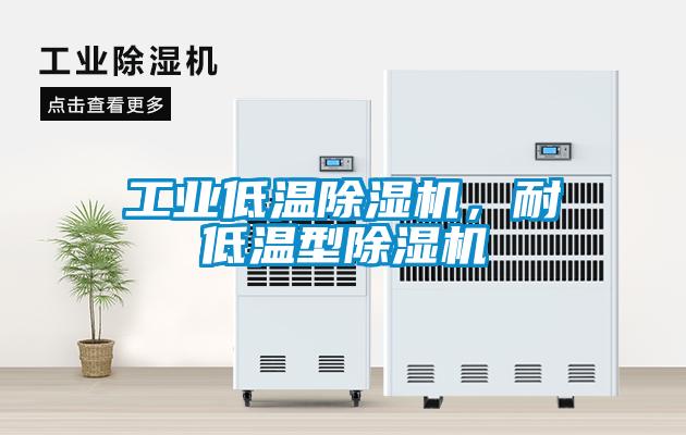 工業(yè)低溫除濕機(jī)，耐低溫型除濕機(jī)