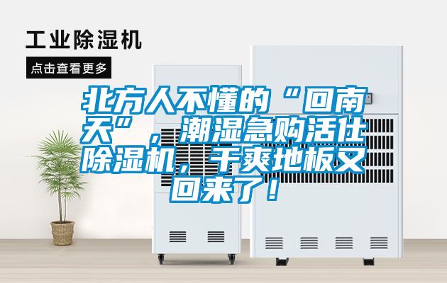北方人不懂的“回南天”，潮濕急購活仕除濕機，干爽地板又回來了！