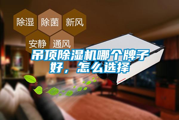 吊頂除濕機哪個牌子好，怎么選擇