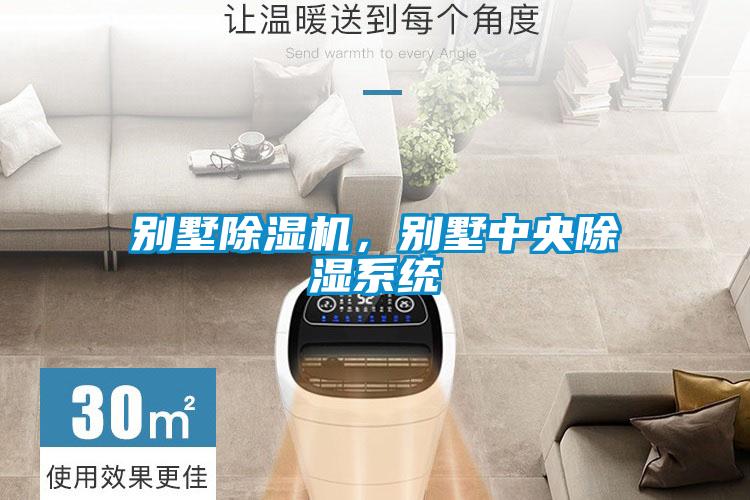 別墅除濕機，別墅中央除濕系統(tǒng)