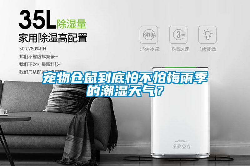 寵物倉(cāng)鼠到底怕不怕梅雨季的潮濕天氣？