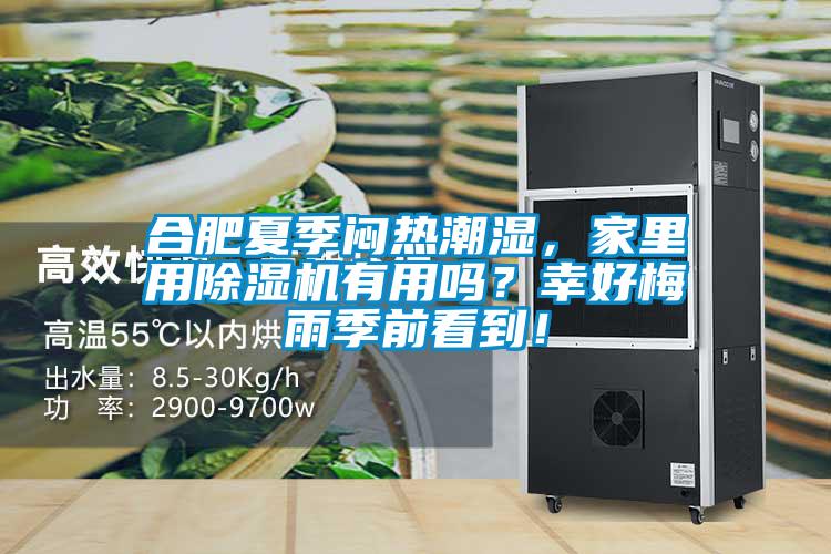 合肥夏季悶熱潮濕，家里用除濕機有用嗎？幸好梅雨季前看到！