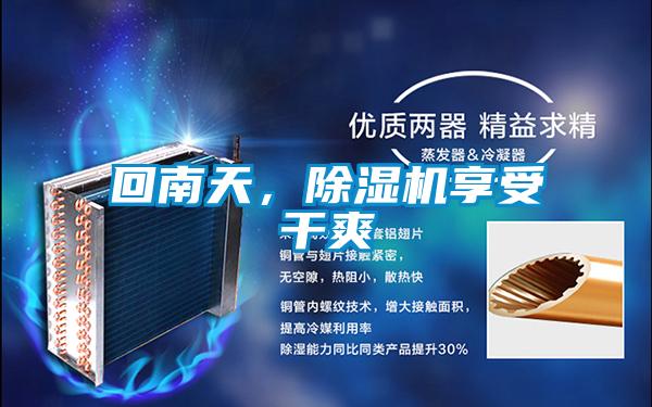 回南天，除濕機享受干爽