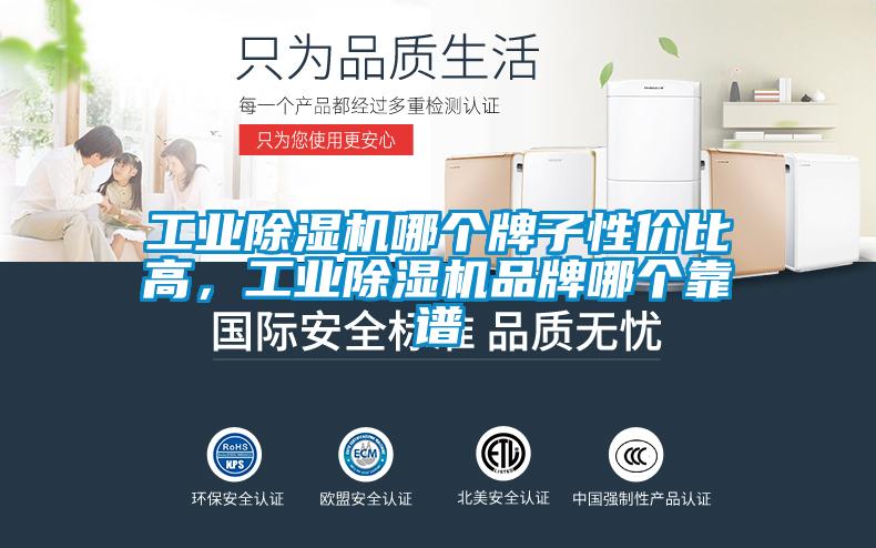 工業(yè)除濕機哪個牌子性價比高，工業(yè)除濕機品牌哪個靠譜