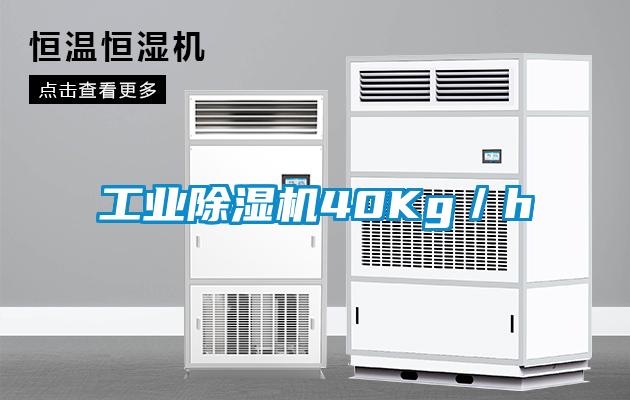 工業(yè)除濕機40Kg／h
