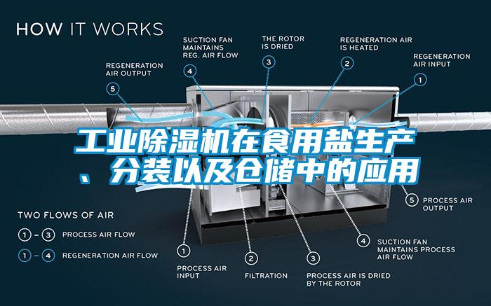 工業(yè)除濕機(jī)在食用鹽生產(chǎn)、分裝以及倉儲中的應(yīng)用