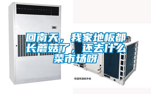 回南天，我家地板都長蘑菇了，還去什么菜市場呀