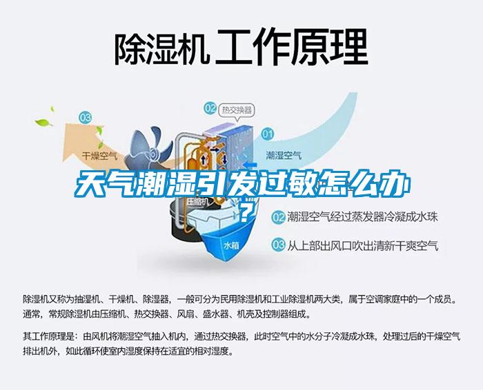 天氣潮濕引發(fā)過敏怎么辦？