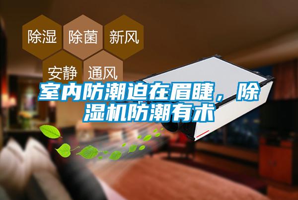 室內(nèi)防潮迫在眉睫，除濕機(jī)防潮有術(shù)