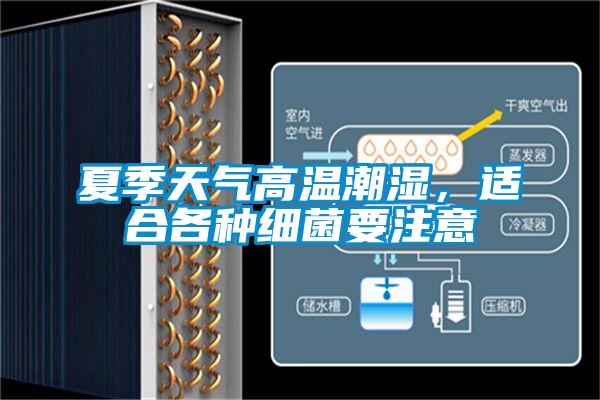 夏季天氣高溫潮濕，適合各種細菌要注意