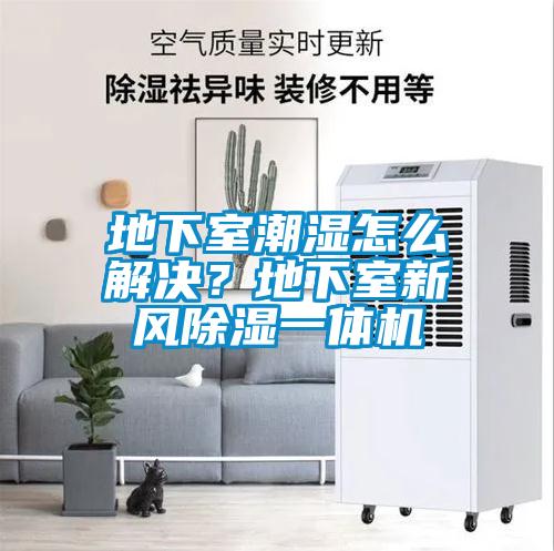 地下室潮濕怎么解決？地下室新風(fēng)除濕一體機(jī)