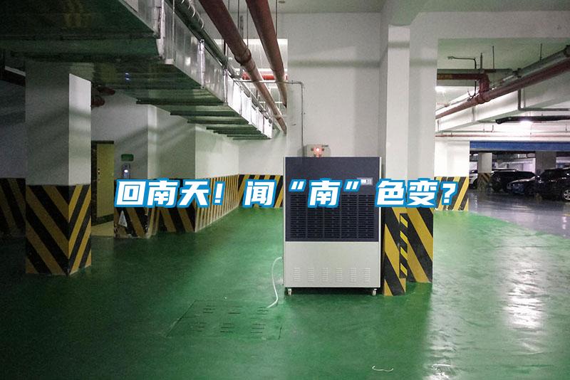回南天！聞“南”色變？