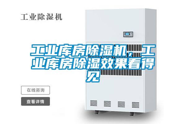 工業(yè)庫房除濕機，工業(yè)庫房除濕效果看得見