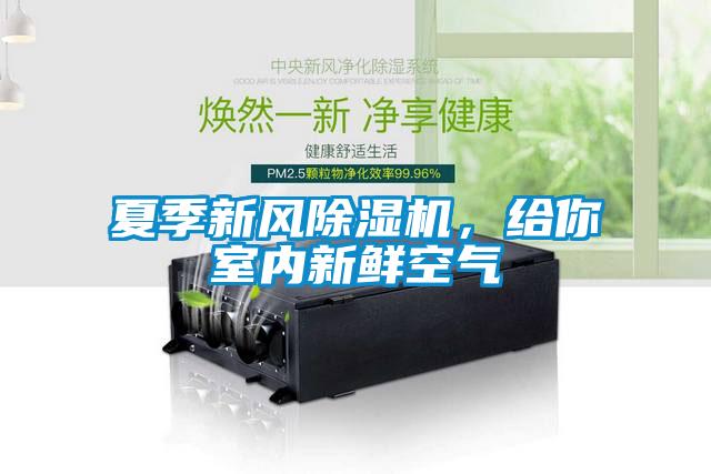 夏季新風(fēng)除濕機，給你室內(nèi)新鮮空氣