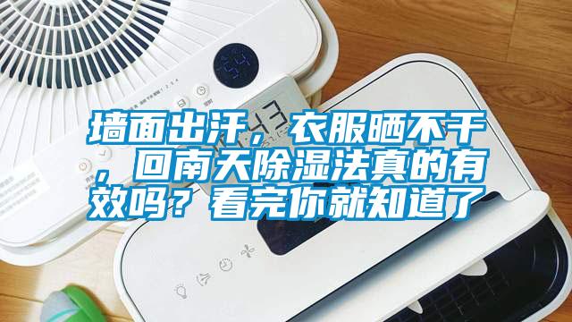 墻面出汗，衣服曬不干，回南天除濕法真的有效嗎？看完你就知道了