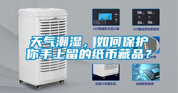 天氣潮濕，如何保護你手上留的紙幣藏品？