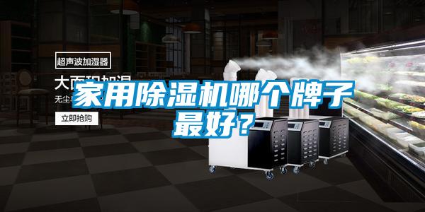 家用除濕機哪個牌子最好？