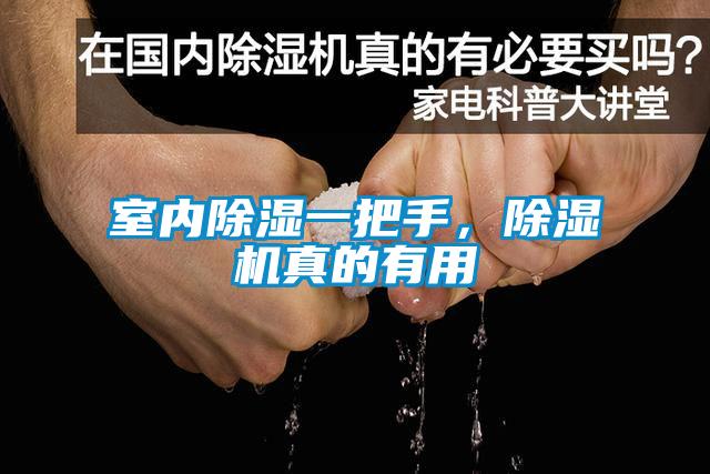 室內(nèi)除濕一把手，除濕機(jī)真的有用