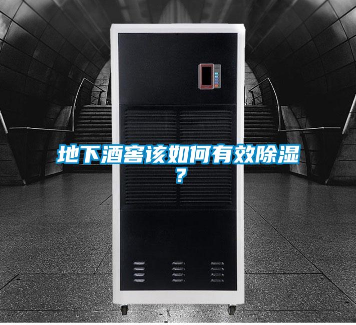 地下酒窖該如何有效除濕？