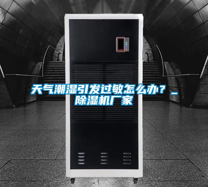天氣潮濕引發(fā)過敏怎么辦？_除濕機廠家