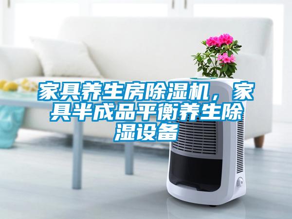 家具養(yǎng)生房除濕機(jī)，家具半成品平衡養(yǎng)生除濕設(shè)備