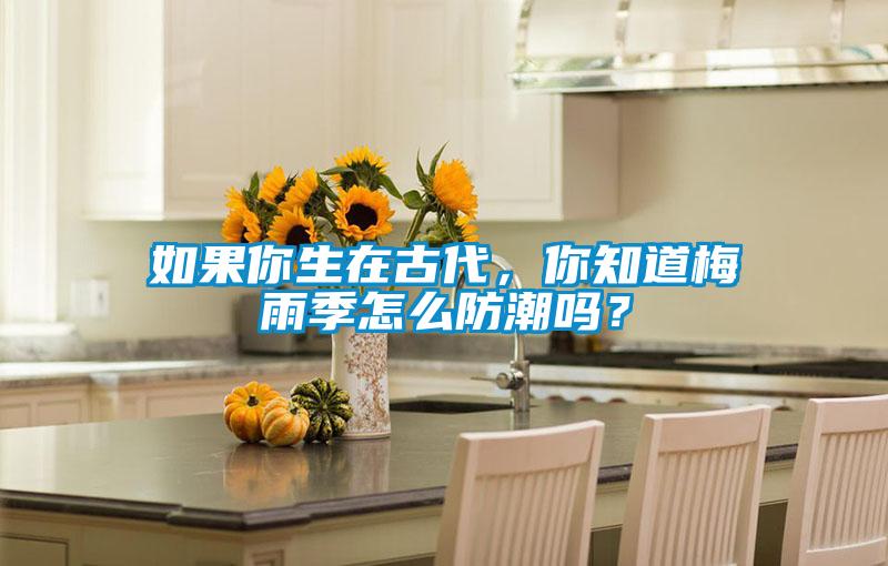如果你生在古代，你知道梅雨季怎么防潮嗎？