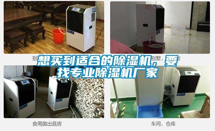 想買到適合的除濕機(jī)，要找專業(yè)除濕機(jī)廠家