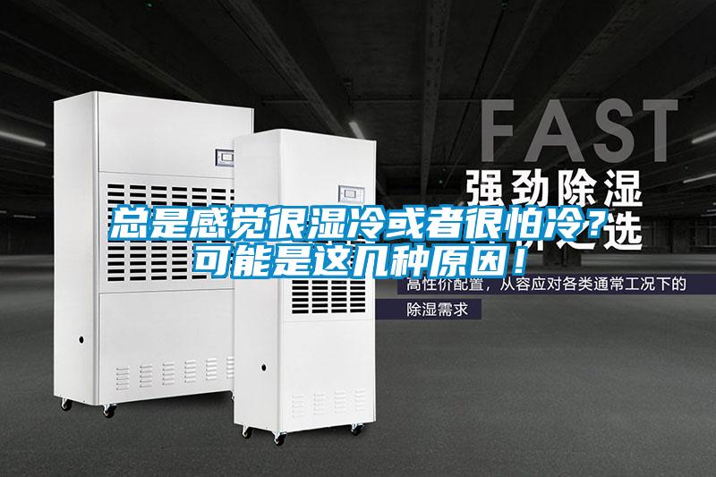 總是感覺很濕冷或者很怕冷？可能是這幾種原因！
