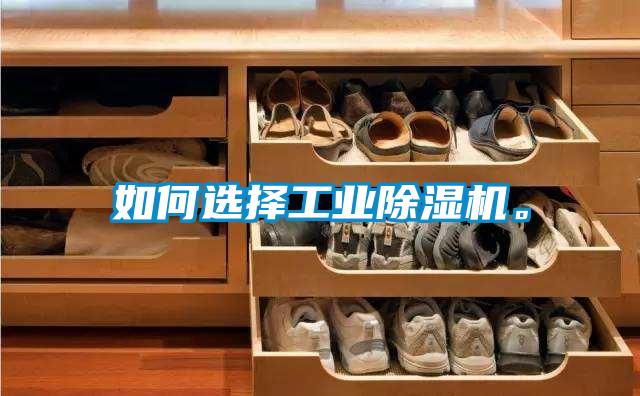如何選擇工業(yè)除濕機。