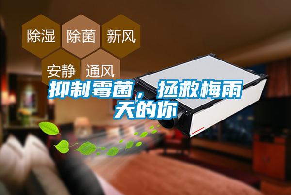 抑制霉菌，拯救梅雨天的你