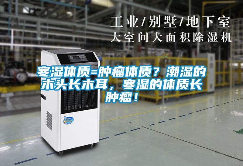 寒濕體質(zhì)=腫瘤體質(zhì)？潮濕的木頭長(zhǎng)木耳，寒濕的體質(zhì)長(zhǎng)腫瘤！