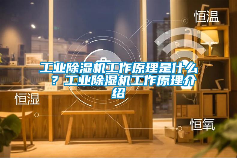 工業(yè)除濕機(jī)工作原理是什么 ？工業(yè)除濕機(jī)工作原理介紹